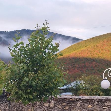 Tulpan Hotel Şǝki Exterior foto